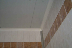 TOSHIBA Exif JPEG